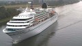AMADEA