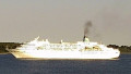 AMADEA