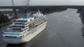 AMADEA