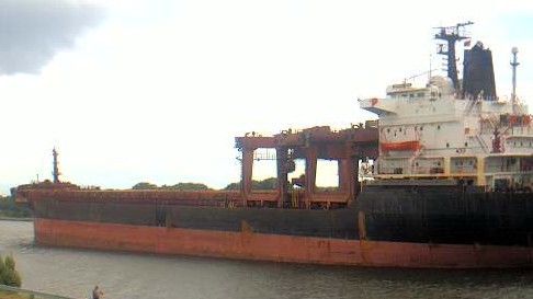 ORINOCO PEARL