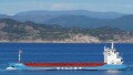 WILSON GIJON