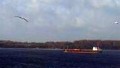 BALTIYSKIY 202