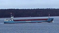 WILSON MAIN
