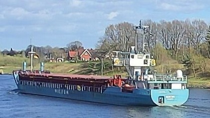WILSON MAIN