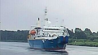 IT INTREPID