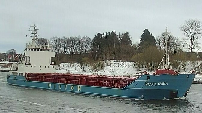 WILSON DVINA