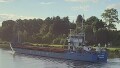 WILSON EMS