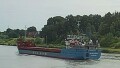 WILSON MOSEL