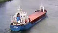 WILSON HARRIER