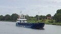 WILSON DUSAVIK