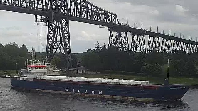 WILSON DUBLIN