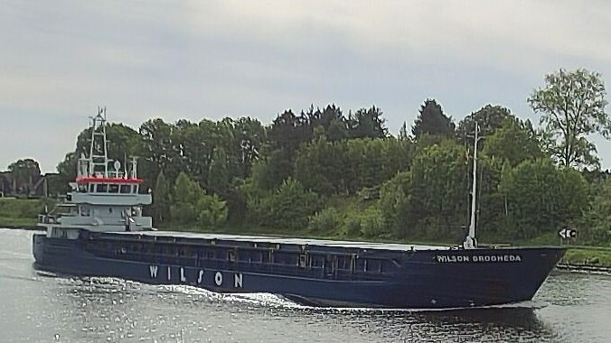 WILSON DROGHEDA