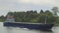 WILSON DROGHEDA