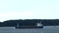 WILSON HIRTSHALS