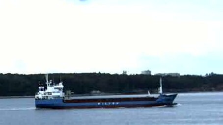 WILSON HIRTSHALS