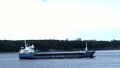 WILSON HIRTSHALS