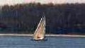 GUNVOR XL