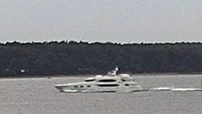 REEF CHIEF