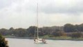 WAVELENGTH