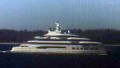 MY AMADEA