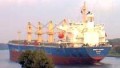 BIANCO BULKER