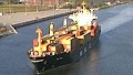 MSC INDIA