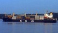 MSC INDIA