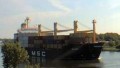 MSC INDIA