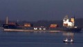 MSC PATRICIA