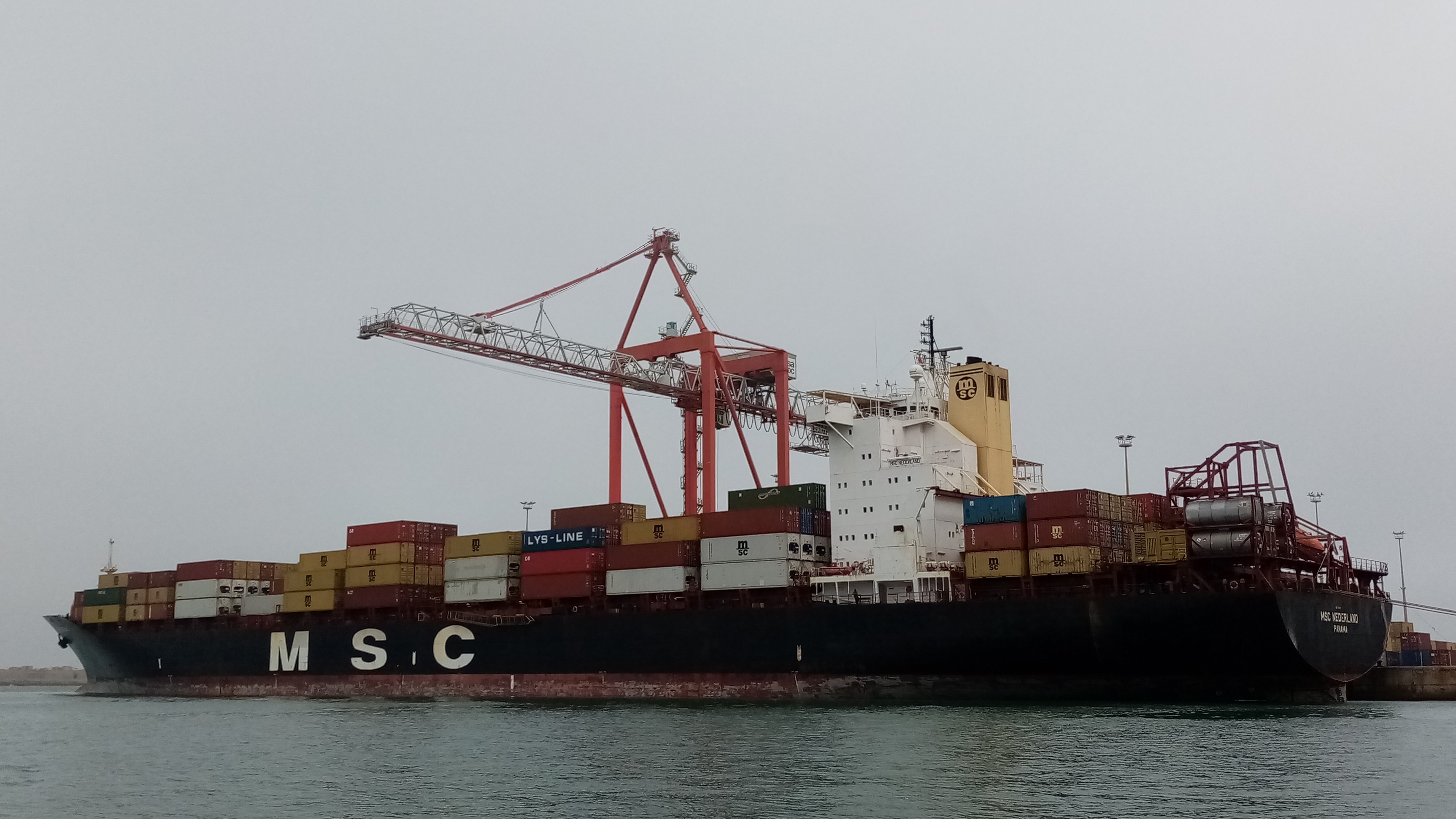 MSC NEDERLAND III