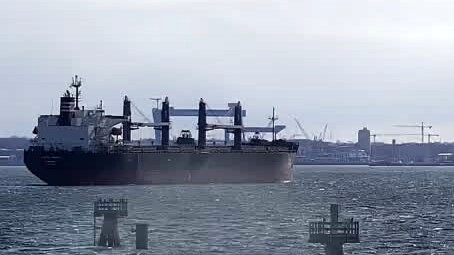 PACIFIC NEXUS