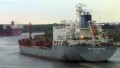 M Y ANTARCTIC