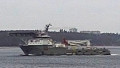 BOKA FALCON