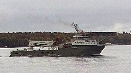 BOKA FALCON