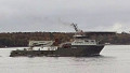 BOKA FALCON