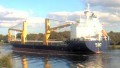 OCEAN7 ALGORA