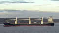 BBC REEF