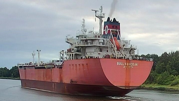 BULL KANGEAN