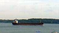 NAVIN KESTREL