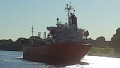 BOW CONDOR