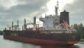 CS CELESTE