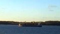 OSLO BULK 8