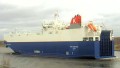 VIKING CONSTANZA