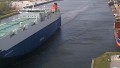 VIKING CONSTANZA