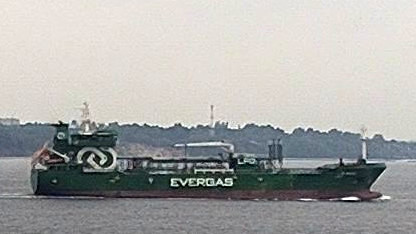 CGAS TIGER
