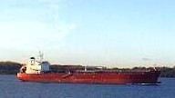 HAFNIA MALACCA