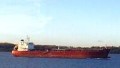 HAFNIA MALACCA