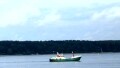 FENNY GUARD VESSEL