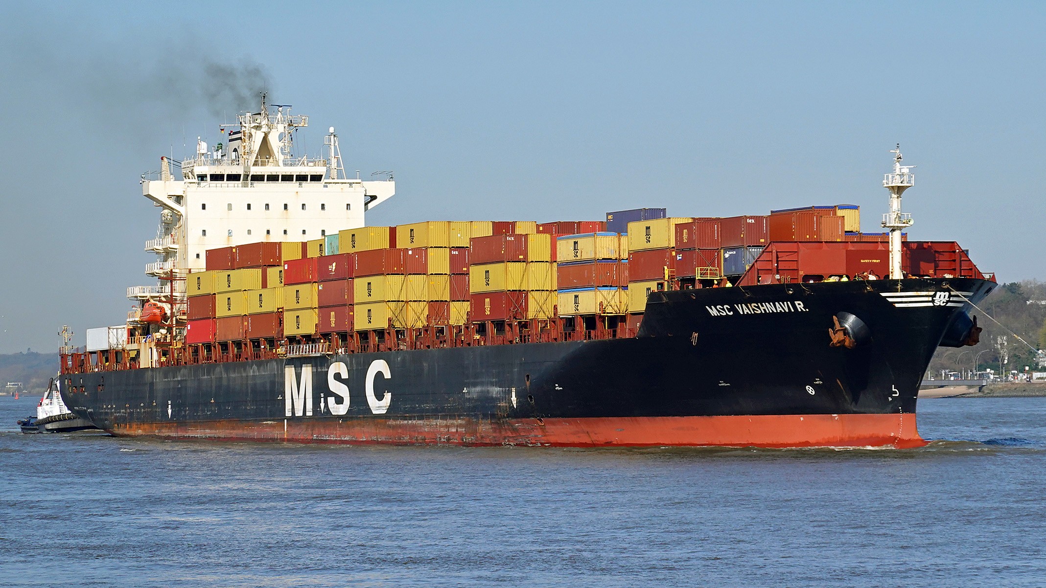 MSC VAISHNAVI R.