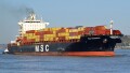 MSC VAISHNAVI R.